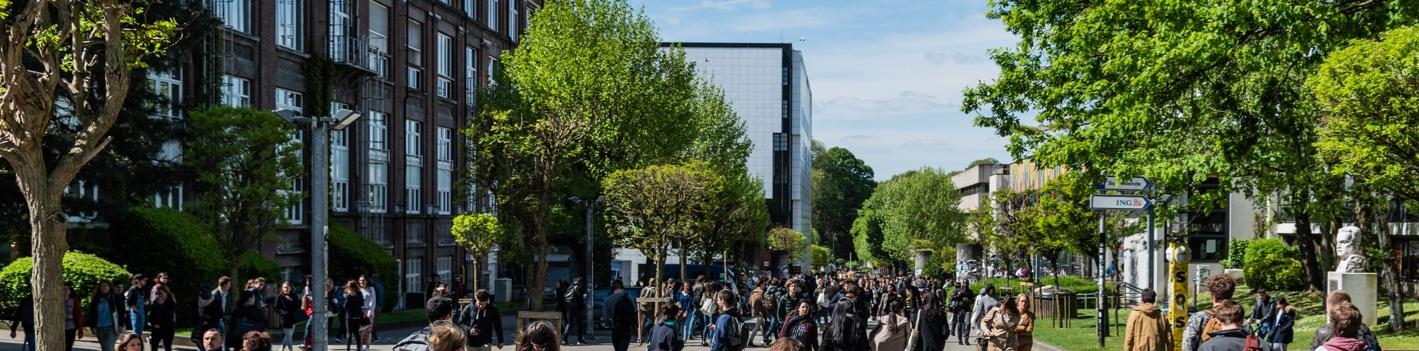 Santé sexuelle et violences sexistes et sexuelles: l’ULB a mené une ...