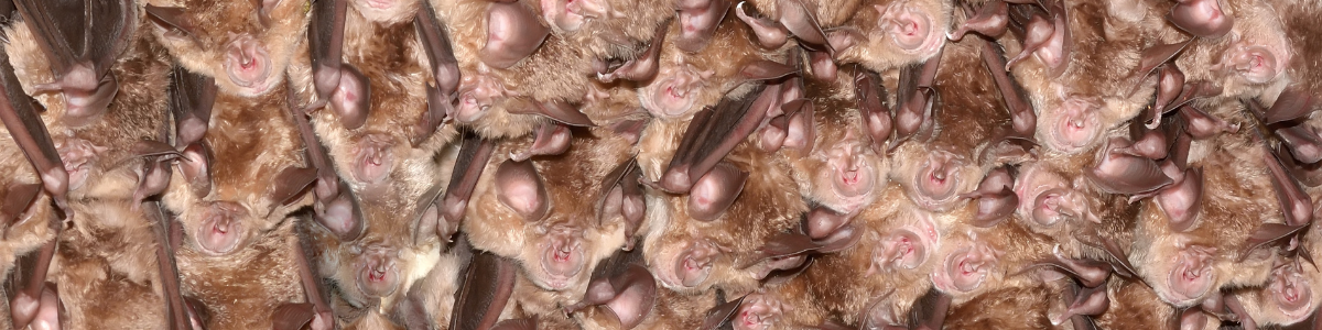 banner-actu-1200x300_1746631569302-png