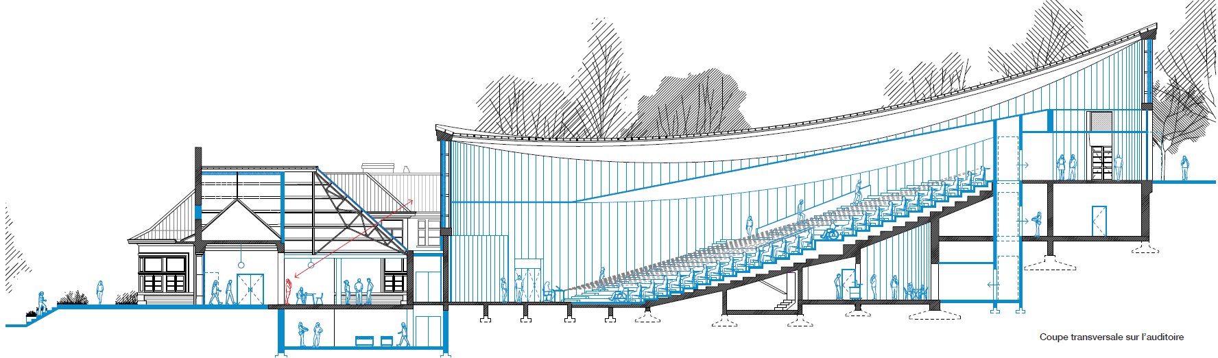 Rénovation Janson_Coupe