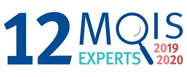 12 mois 12 experts