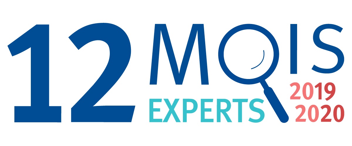 12 mois 12 experts logo