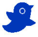 icone Twitter